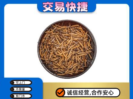 巴彦淖尔市临河区高价回收散虫草